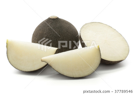 Black radish isolated on white Black radish isolated on white 37789546