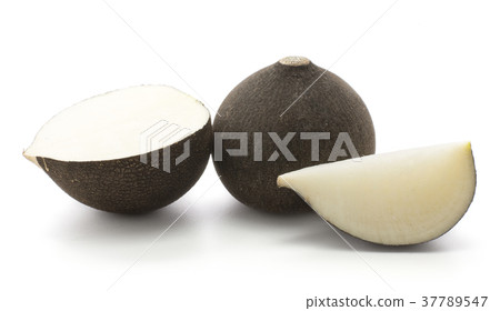 Black radish isolated on white Black radish isolated on white 37789547