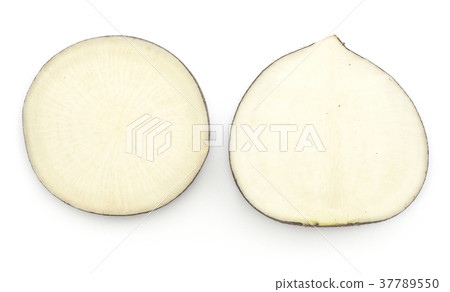 Black radish isolated on white Black radish isolated on white 37789550