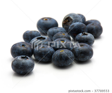 Bog billberry isolated on white Bog billberry isolated on white 37789553