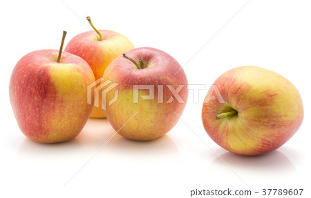 Raw evelina apple isolated 37789607