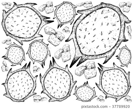 Hand Drawn of Fresh Ripe Dragon Fruit Background 37789920