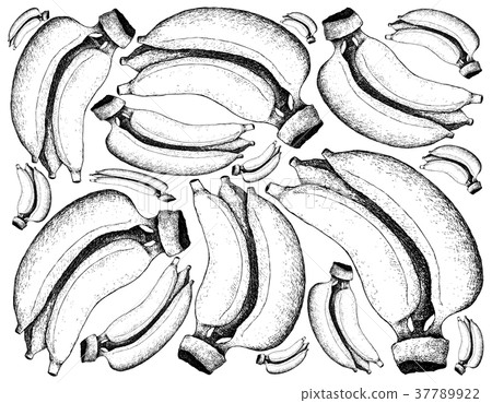 Hand Drawn of Fresh Ripe Golden Banana Background 37789922