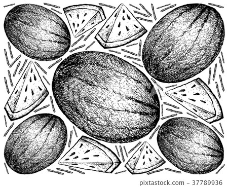 Hand Drawn of Fresh Watermelon on White Background 37789936
