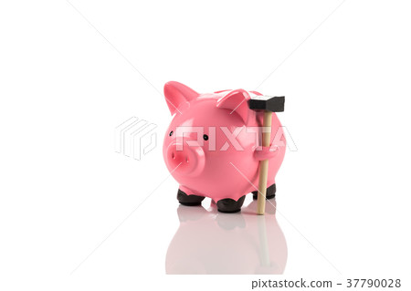 Gorgeous pink piggy bank 37790028