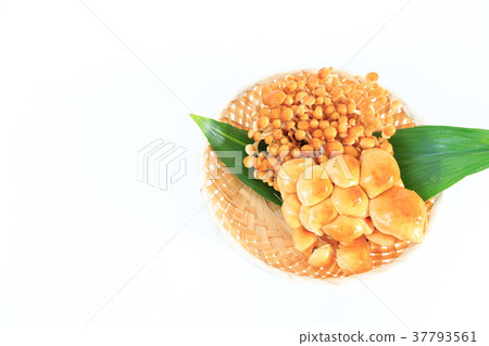 蘑菇盛肉盤成份 蘑菇盛肉盤成份 37793561