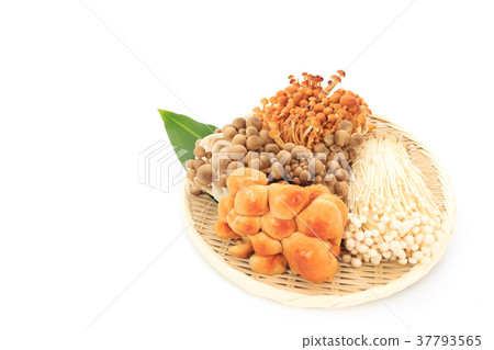 Ingredients of mushroom platter Ingredients of mushroom platter 37793565