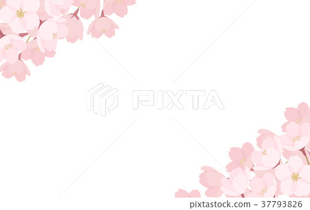 Spring / cherry blossom background material Spring / cherry blossom background material 37793826