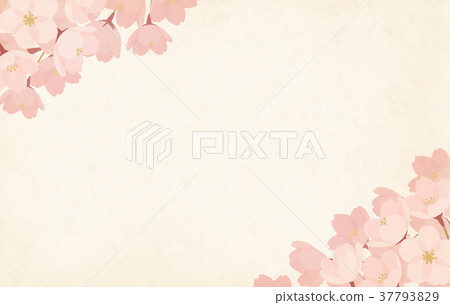 春天/櫻花背景材料 春天/櫻花背景材料 37793829