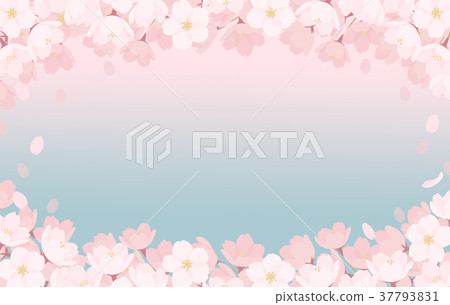 春天/櫻花背景材料 春天/櫻花背景材料 37793831