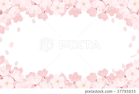 春天/櫻花背景材料 春天/櫻花背景材料 37793833