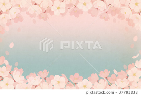 春天/櫻花背景材料 春天/櫻花背景材料 37793838