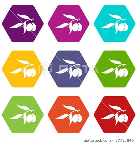 Olive tree branch with two olives icon set color hexahedron Olive tree branch with two olives icon set color hexahedron 37793849