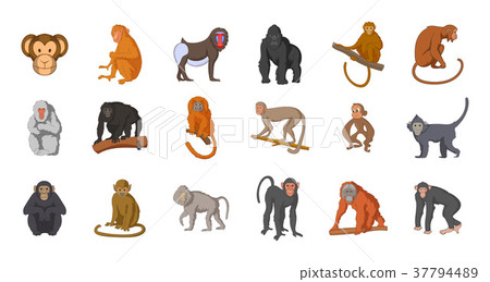 Monkey icon set, cartoon style 37794489