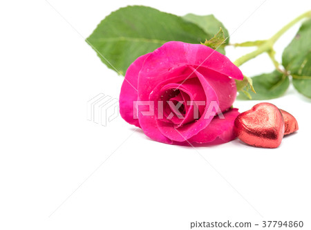 Valentines day, love concept with heart and rose Valentines day, love concept with heart and rose 37794860