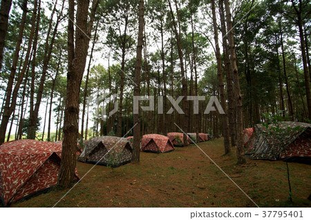 pile of camping tents at the camp site pile of camping tents at the camp site 37795401