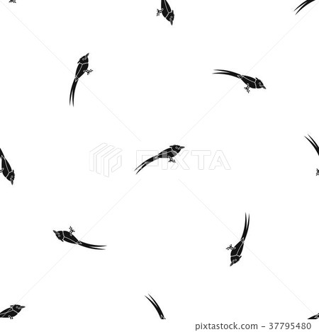 Asian paradise flycatcher pattern seamless black 37795480
