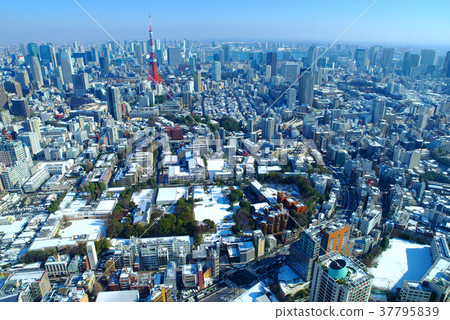 降雪後的第二天東京塔，東京灣，東京更明亮，更加飽和2010.01的高角度 37795839
