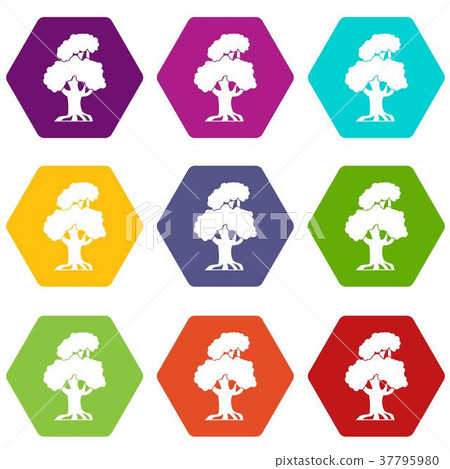 Oak icon set color hexahedron Oak icon set color hexahedron 37795980