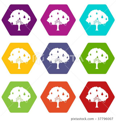 Pear tree with pears icon set color hexahedron-插圖素材 [37796007] - PIXTA圖庫