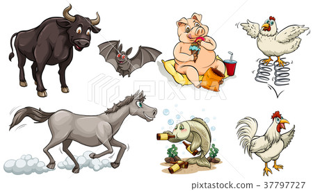 Different types of animals doing different things 37797727