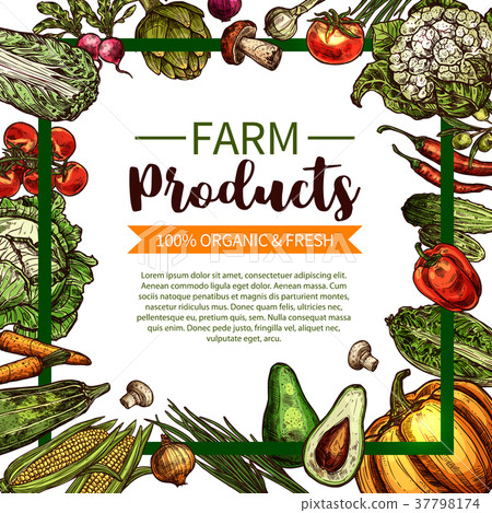 Vector sketch poster of farm organic vegetables 37798174