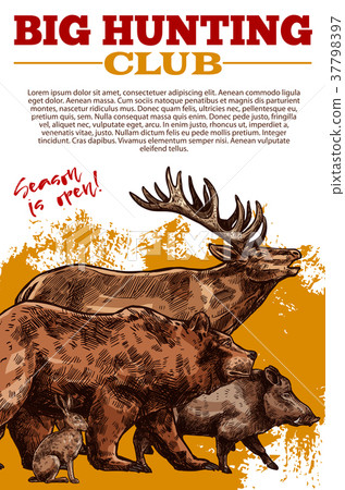 Vector sketch poster of hunting club wild animals Vector sketch poster of hunting club wild animals 37798397