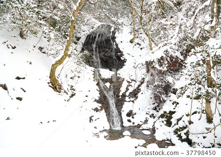 Waterfall without sound of snow Waterfall without sound of snow 37798450