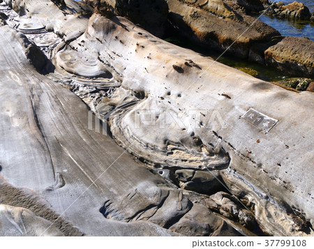 Cape Ashizuri, Tatsukushi Coast, Shrimp Stone (the southernmost tip of Shikoku) Cape Ashizuri, Tatsukushi Coast, Shrimp Stone (the southernmost tip of Shikoku) 37799108