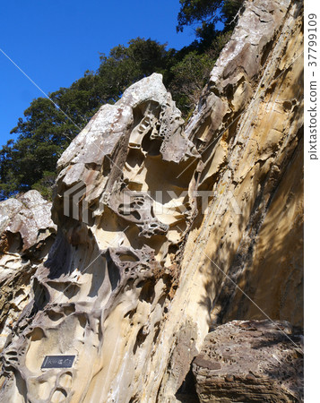 Ashizuri Pass，Ryuho Beach，Amanohashidate（四國最南端） 37799109
