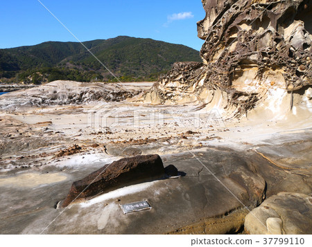 Ashizuri角，Ryuho海灘，Zato的Napushi（四國最南端） 37799110