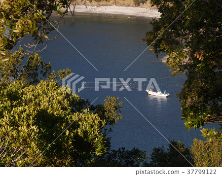 Fixed net fishing for the Ohama Coast "Japan's Top 100 Eels" (Tokushima Prefecture) 37799122