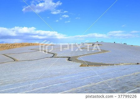 冬季景觀山 37799226