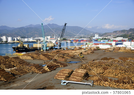 A storage place 37801065