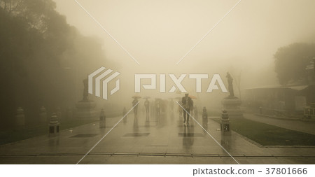 People walking into the misty foggy road 37801666