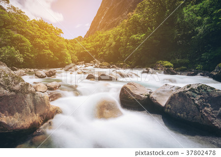 Rocky river landscape in rainforest, New Zealand Rocky river landscape in rainforest, New Zealand 37802478
