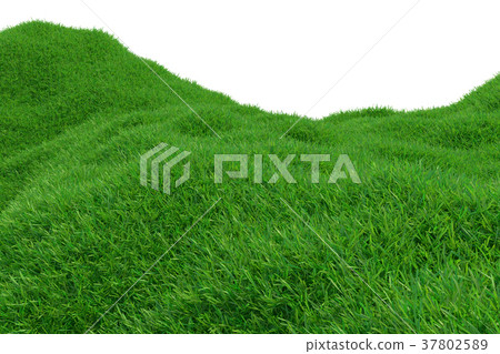 Green grass growing on hills with white background - Stock Illustration ...