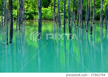 Blue pond Blue pond 37802764