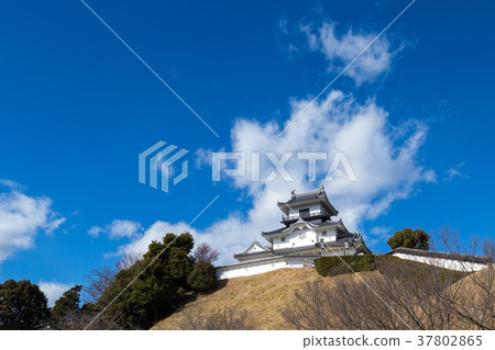 Shizuoka Kakegawa Castle 37802865