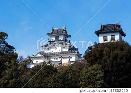 Shizuoka Kakegawa Castle 37802920