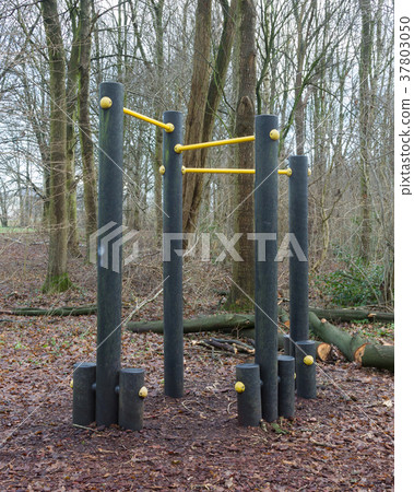 Fitness equipment in a forest - One stage of many 37803050