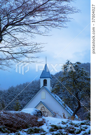Snowy Garden Hall Sion Snowy Garden Hall Sion 37804027