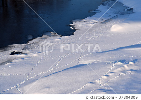 Footsteps of the riverside Footsteps of the riverside 37804809