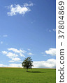 Farming hill _ summer ranch 2 37804869