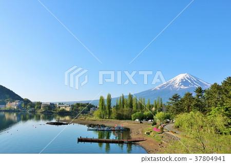 初夏和富士山的藍天和新鮮的綠色風景 初夏和富士山的藍天和新鮮的綠色風景 37804941