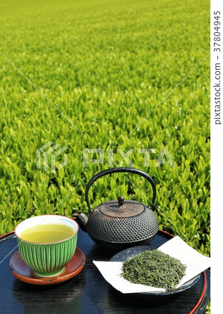 新綠茶田和新茶 新綠茶田和新茶 37804945