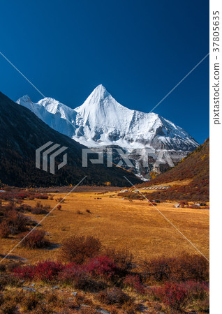 Yading Nature Reserve Sichuan China 37805635