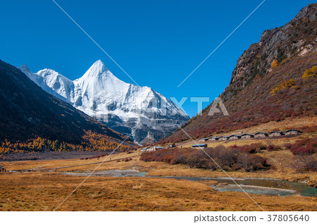Yading Nature Reserve Sichuan China Yading Nature Reserve Sichuan China 37805640
