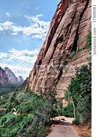Mountain Landscape in Zion, USA Mountain Landscape in Zion, USA 37806061