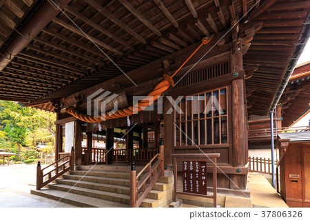 Spring Kibitsu Shrine Okayama Prefecture Okayama Prefecture 37806326